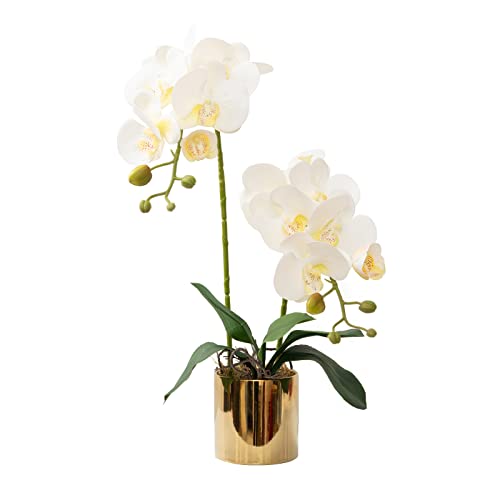 Artificial Orchid Flowers White Faux Orchids with Ceramic Vase Vivid Fake Phalaenopsis Flower Arrangement Gorgeous Artificial Plants for Office Desk Wedding Party Exhibition Center & Home Table Decor - color: White-golden