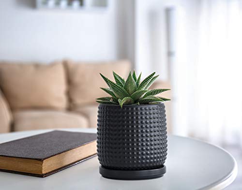 D'vine Dev 4 Inch Ceramic Beaded Stoneware Planter Pot - Flower Pot with Drainage Holes and Saucers for Indoor Succulent Plants or Flowers, Ebony Matte, 27-C-Z-6 - color: Ebony Matte, size: 4.3 Inch