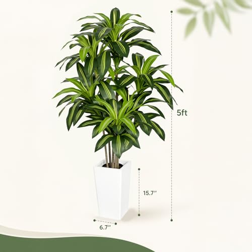 Artificial Dracaena Tree 5FT, Stable Multi-Trunk Fake Tree Indoor with White Tall Planter,Faux Silk Plant for Living Room Office Decor, UV Resistant Realistic Leaves - color: Dracaena Tree Green
