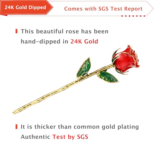 AliveRose Valentines Day Gifts for her, 24K Gold Rose Made from Real Rose - Unique Design 24K Dipped Roses for Anniversary Valentines Mothers Day Birthday Gifts (Red Original with Crystal Vase) - color: 1. Red Original Rose With Crystal Vase