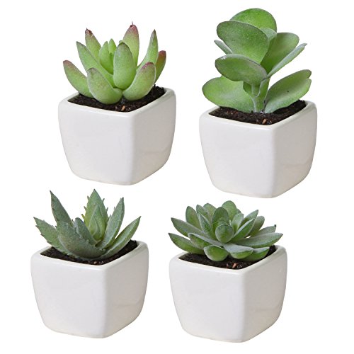 MyGift Set of 4 Mini Assorted Green Decorative Artificial Succulent Plants in Square White Glazed Ceramic Planter Pots - color: Assortment #3