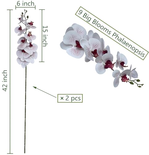 FagusHome Artificial Phalaenopsis Flowers Branches 9 Large Blooms Artificial Orchid Flowers Stem Plants 42 Inches 2 Pcs for Home Wedding Décor (White and Purpleline) - color: White and Purpleline