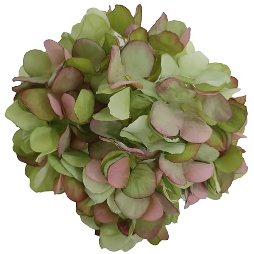 7.1''Green Silk Hydrangea,10 Pcs Artificial Silk Hydrangea Heads,81 Petals Faux Hydrangea Flowers Heads with Stems for Home Wedding Baby Shower Decor(Green) - color: Green