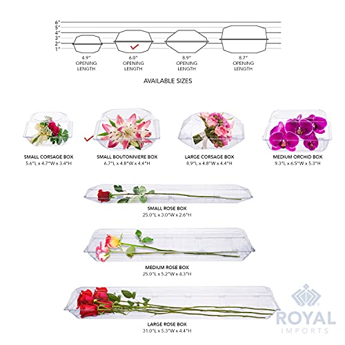 Royal Imports Clear Plastic Flower Box for Corsage, Boutonniere, Rose, Orchid Prom Wedding Craft Container 6x5x4-10 Pack