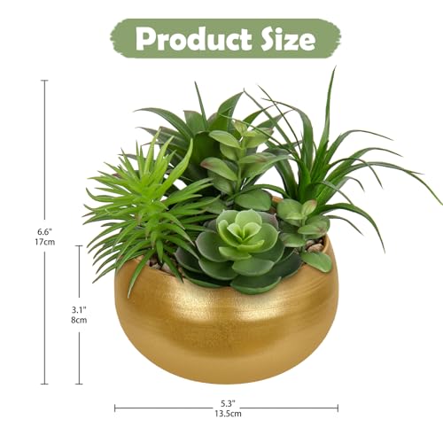 Hollyone Fake Plants Artificial Succulents in Pots Faux Succulent Arrangement Potted Plant in Gold Ceramic Planter Bowl for Home Decor Office Desk Bathroom Shelf Living Room Indoor Decorations - color: Premium Gold