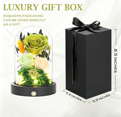 Preserved Flowers in Glass Dome with LED Light, Forever Flowers for Delivery, Eternal Roses Gifts for Women Mom Girlfriend Wife . Valentines Day Mothers Day Anniversary Birthday Gifts For Her(Green) - color: New Green