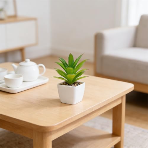 Artificial Succulent Plants in Pot - 1Pcs Bromeliads Realistic Fake Potted Succulents for Home Decor, Desk, Office, Bathroom, Windowsill - Indoor Houseplant for Bedroom, Kitchen, Shelf - color: Bromeliads