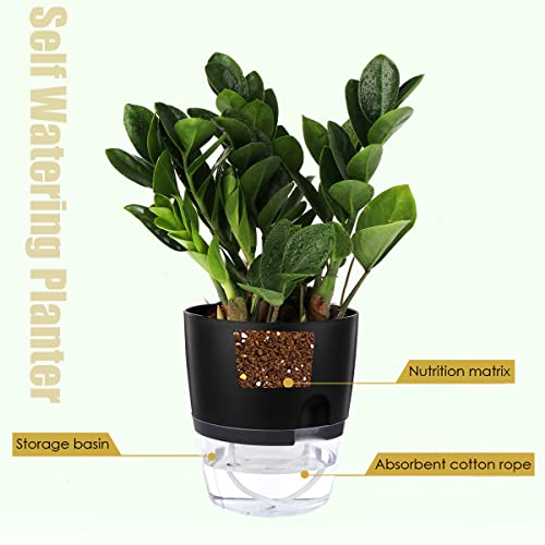 Vanavazon 6 Inch Self Watering Planter Pots for Indoor Plants, 3 Pack African Violet Pots with Wick Rope-Black - color: Black