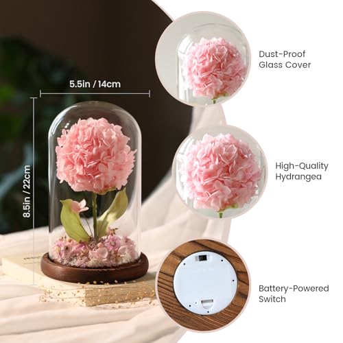 Forever Hydrangeas in Glass Dome,Forever Preserved Flowers Gifts Mothers Day Birthday for Grandma Women Mom Wife,Fresh Flowers for Delivery/Pink Hydrangea - color: Pink