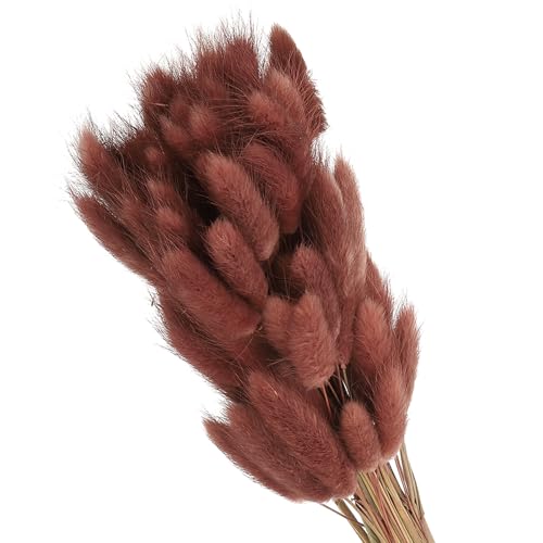 PATIKIL 15.7in Bunny Tails Dried Flowers, 80pcs Pampas Grass Decor Rabbit Tail Natural Pampas Grass Bulk Fluffy Faux Pampas Grass Dried for Home Boho Decor Vase Wedding Table, Brown - color: Brown