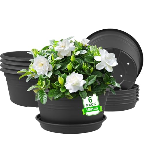 6 Pack 10 inch Plant Pot, Round Plastic Plant Pots, Outdoor Pots for Plants with Drainage Hole & Tray Saucer, Decoration Flower Pots for Indoor Plants Home Garden Outdoor Planters (Dark Gray) - color: Dark Gray, size: 10 Inch - 6Pack