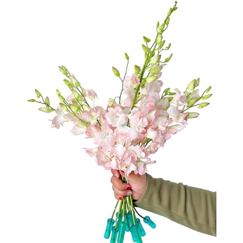 20 pink orchids fresh cut flowers gift birthday anniversary Valentine's Day flowers Dendrobium
