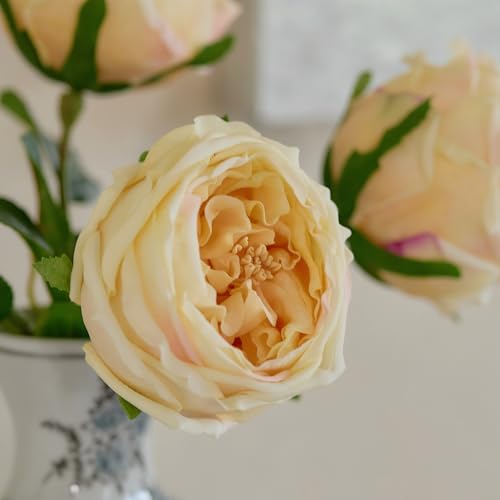 WILD WORKS Artificial Austin Roses, 4 Pcs Real Touch Fake Flowers with Moist Fabric Petals, 17.7 Inch for Mother's Day Wedding Home Decor (Champagne) - color: Champagne 4pcs
