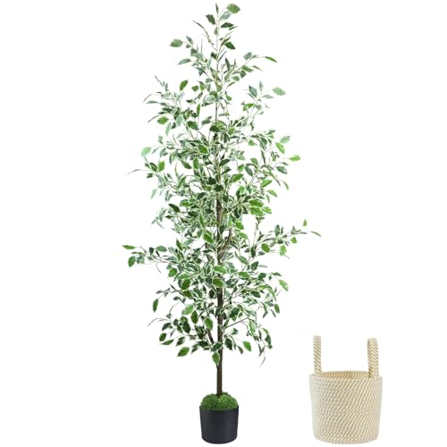 Caxchiling Fake Ficus Tree 6FT,Artificial Floor Plants for Indoor Outdoor, Lifelike Potted Tree with Moss Topper and Cotton Basket, Home Office Living Room Bedroom Doorway Decor (White-Edged Leaves) - color: White Ficus