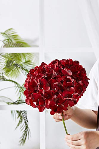 Hydrangea Silk Flowers Heads with 10 Stems Burgundy Artificial Hydrangea Flower Head for Wedding Centerpieces Bouquets DIY Floral Decor Home Decoration - color: 10pcs Burgundy, size: Large