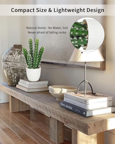 Artificial Cactus Plants 10.8 inch Small Faux Cactus Plants Indoor Fake Desert Cacti Succulents Plants Artificial Plant Indoor with Pot Cactus Decorations for Home Decor Office Desk Tabletop Shelf - size: SUP_209