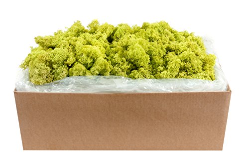 SuperMoss 59834 21497 7 Moss, Appx. 10 lb Bulk Case, Chartreuse - color: Chartreuse, size: Appx. 10 lb Bulk Case