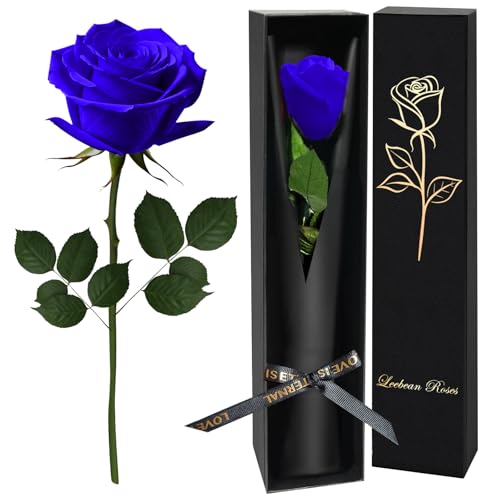 Blue Single Forever Roses Luxury Gift for Women/Men, Fresh Flowers Bouquet for Girlfriend, Wife, Mom, Anniversary, Valentine's Day, Wedding, Graduation, Christmas, Birthday, Unique Presents for Her - color: Blue