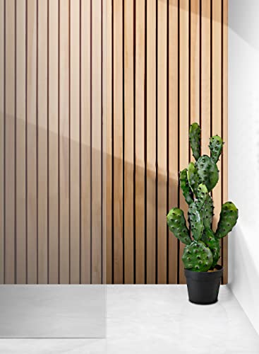 Serene Spaces Living Artificial Prickly Pear Cactus in Plastic Black Pot, Lifelike Potted Bunny Ear Cactus for Balcony, Living Room, Kitchen, Office, Patio, Entranceway, 11" Diameter & 27" Tall