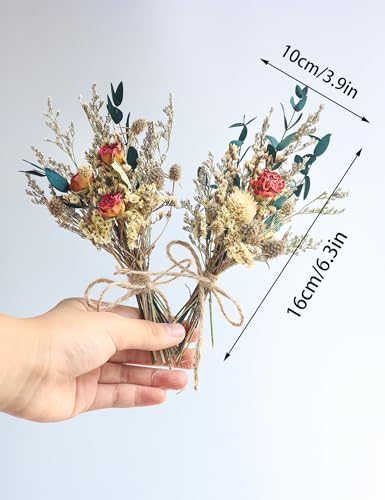 xin's convey Mini Dried Flower Bouquet (Pack of 6), Rose Bouquets, Party Favours, Bohemian Plate Decoration, Birthday Cake Dried Flower Gift Box Companion, Photography Props (Rose) - color: Rose