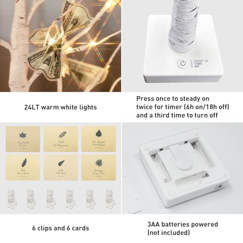 PEIDUO Money Tree, 22 Inch Gift Card Tree Holder with 6 Clips and 6 Greeting Cards, 24 Warm White Birch Tree with Lights, Christmas Tree Card Holder for Birthday Wedding Indoor Xmas Decorations - style: Money tree