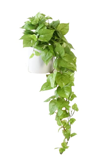 Retrograde 32" Realistic Fake Pothos Ivy Plant for Home Decor Indoor Silk Artificial Plant Large (Light Green) - color: Light Green