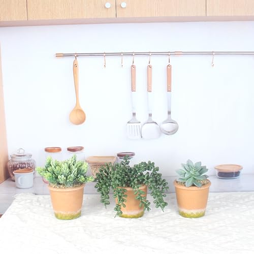 COTSEN 3 Pcs Artificial Succulent Plants Potted False Succulent Plants Potted Faux Potted Plant Family Office Bookshelf Decor