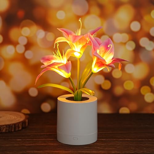 WSYEAR Pink Morning Glory Flowers Table Lamp, Charging Dimmable Cordless Artificial Flower Night Light, Bedroom Office Decor Night Light, Christmas Birthday Gifts for Women Mom - color: Pink Morning Glory