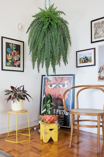 GnFlus Artificial Boston Fern 47 Inch Faux Fern with 52 Fronds, Realistic Ferns Artificial Plants Large Silk Fern Bush for Outdoor Indoor Hanging Planter, Porch Patio Home Farmhouse Garden Decor - size: 52 fronds