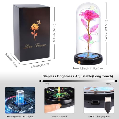 Mothers Day Flowers Gifts for Mom Women Birthday Gift, Rechargeable Galaxy Glass Rose in Glass Dome Forever Crystal Rose Flower Anniversary Mothers Day Roses Gifts for Daughter Wife Women Grandma Pink - color: Usb-d Pink