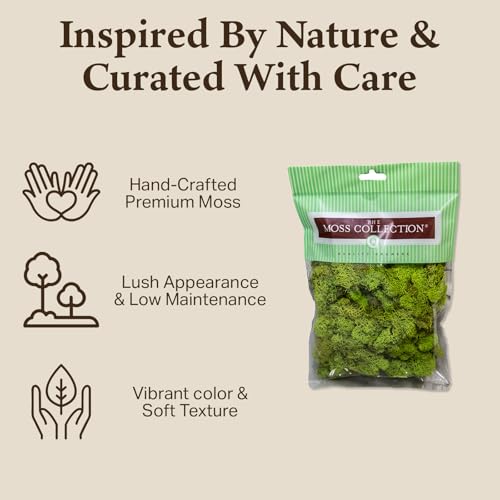 Quality Growers - Preserved Reindeer Moss - Moss for Crafts, Home Decor, Art, Design & DIY Projects - Non-Toxic - USA Made (Chartreuse, Small, 2-Pack) - color: Chartreuse, size: Small (2-Pack)