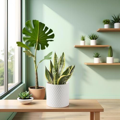 Docrin Ceramic Planters Indoor, 8 Inch Plant Pot with Drainage Holes for Home/Office - White Honeycomb - color: White - 1pcs