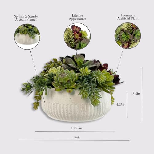 Round Faux Succulent Arrangement, 12" Premium Artificial Indoor Plant Enhances Interior Design, Display on any Surface in Your Home Adding an Inviting Touch of Nature, White Planter Pot Included - size: 12" Round White Planter