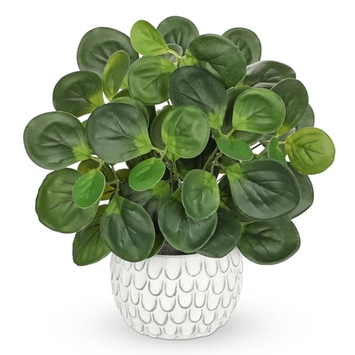 13" Artificial Plants Indoor Small Fake Plant in White Ceramic Pot, Silk Plants for Home Decor Indoor, Faux Potted Plant for Shelves, Desks, Home, Room, Office, Bedroom, Entryway, Tabletop Decor - color: #Green #2