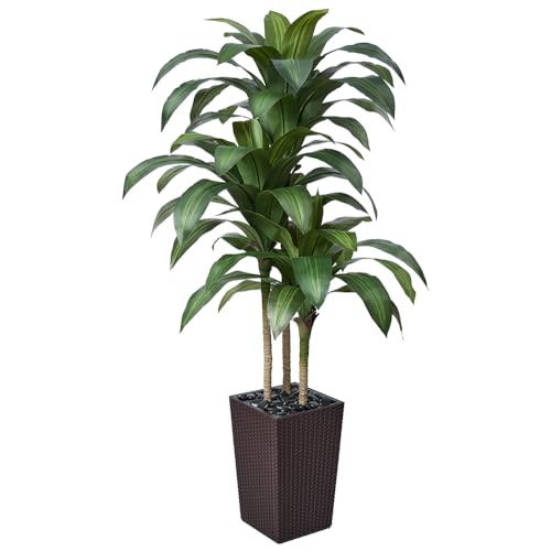 VeriNatural 5FT Artificial Dracaena Tree - UV Resistant Faux Tropical Plant, Potted Fake Tree with Taper Planter & Pebbles - Indoor Outdoor Greenery for Home, Porch, Living Room, Bedroom Decor, VN127 - color: Espresso Brown, size: 5ft