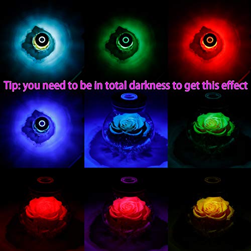 Preserved Real Roses with Colorful Mood Light Wishing Bottle,Eternal Rose，Never Withered Flowers, a Gifts for Women 4.3inch 1pcs (Yellow) - color: Yellow