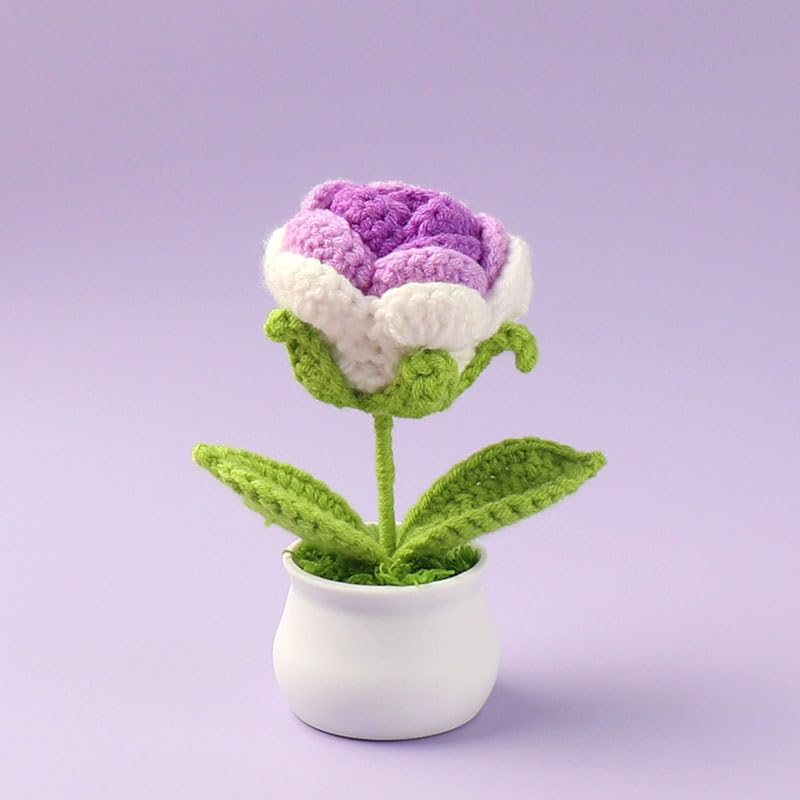 Crochet Rose Potted, 2pcs Mini Artificial Plants Rose Flowers Potted Plants Handmade Knitting Flower for Family and Friends, Crochet Flowers for Home Car Decor (Gradient Purple) - color: Gradient Purple Rose