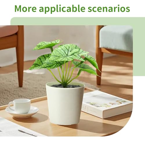 Freyalife 6 Pack Fake Plants for Room Decor,Mini Artificial Potted Plants for Home Office Living Kitchen Classroom Table Shelf Desk Farmhouse Bathroom Indoor Decor