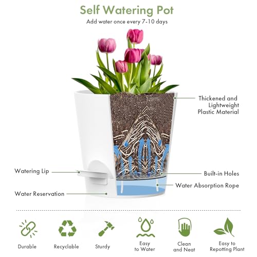 WSMKSZ 7/6.5/6/5.5/5/4 inch Self Watering Pots for Indoor Outdoor Plants, 6 Pack Plastic Flower Planters with Drainage Holes and Removable Saucers, Plant Pots with Wicking Rope, Modern Decor, White - color: White, size: 7+6.5+6+5.5+5+4inch 6pcs
