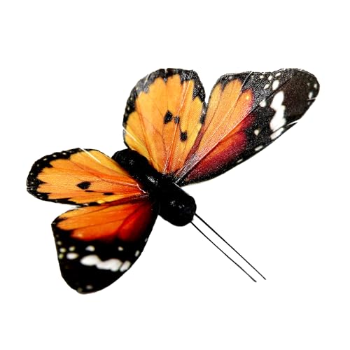 Cartanfill- Artificial Feather Simulation Butterfly Party Decoration Set, a Set of 12 Pieces with Wire, Used for Home Decoration in 12 Colors(C) - color: A
