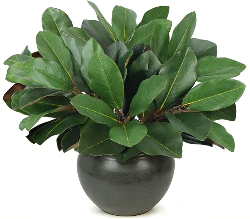 6 PCS 22" Magnolia Leaves Artificial Greenery Stems 3D Real Touch Faux Magnolia Branches Fake Bird of Paradise Decorative Plants for Vase Kitchen Office Table Home Decor - color: 6pcs Magnolia Leaves