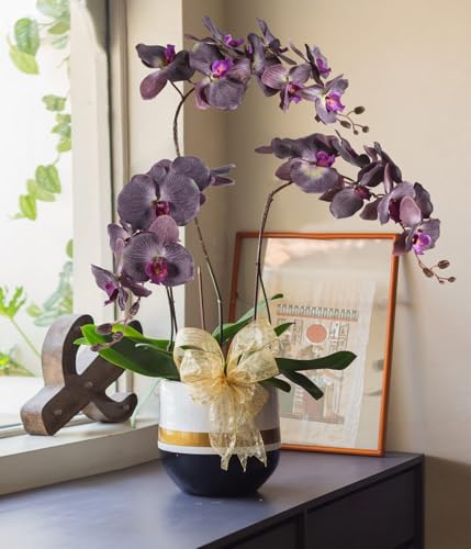 6PCS 41in Orchids Artificial Flowers Fake Orchid Velvet Silk Orchids That Look Real Long Stem Artificial Flowers for Tall Vase for Home Wedding Party Fall Décor (Dark Brown) - color: Dark Brown