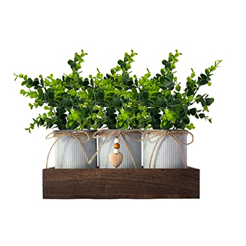 CALAVAK Decorative Centerpiece Wooden Tray with 3 Metal Potted Artificial Eucalyptus Rustic Country Home Décor for Dining Room, Living Room and Kitchen Table - style: Eucalyptus