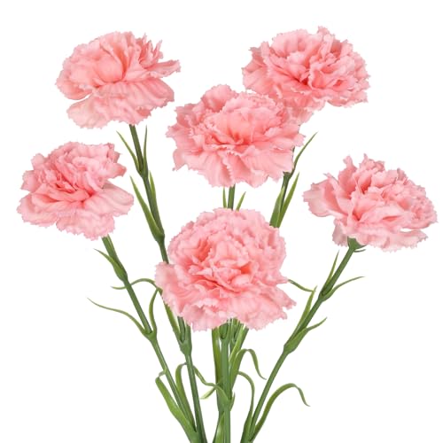 IPOPU Pink Carnations Artificial Flowers,6PCS Real Touch Faux Flowers 20'' Artificial Silk Carnations with Stems for Wedding Bouquet Party Table Centerpieces Home Decor (Pink) - color: Pink