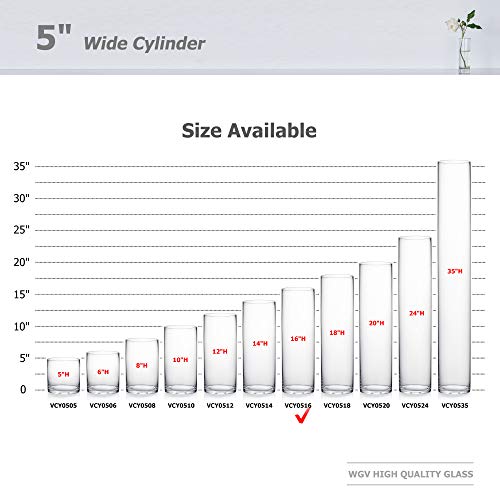 WGV Cylinder Vase, Diameter 5", Height 16", Clear Glass Floral Planter Container, Tall Centerpiece Arrangement for Wedding Party Event Home Office Decor, 1 Piece - size: 5"x16"H CL