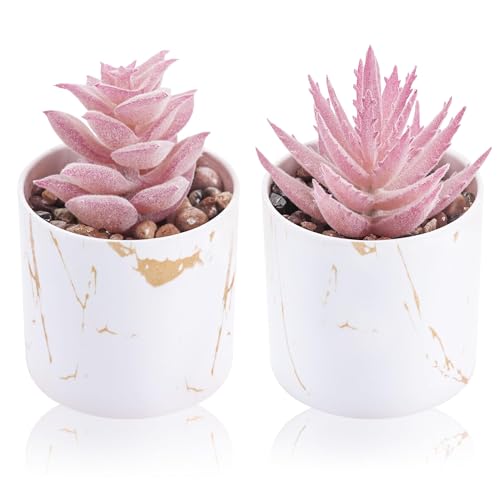 Der Rose Set of 2 Succulents Plants Artificial Mini Fake Succulents Plants for Office Desk Accessories for Women Pink Home Vanity Decor - color: 2-pink