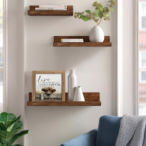 Live Like Someone Left The Gate Open Sign, 6 Inch Wooden Highland Cow Office Decor, Western Wall Art Indoor Table Desk Shelf Decorative Signage Bedroom Rustic Farmhouse Decorations for Home - color: brown-1