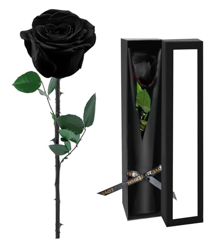 Preserved Flowers for Delivery,Black Rose Bouquets That Last 5 Years,Birthday Flowers Gifts for Women Mom Grandma Wife Friends,Mothers Day Roses Gift,Romantic Floral for Anniversary or Valentine’s Day - color: Black, size: Single Rose