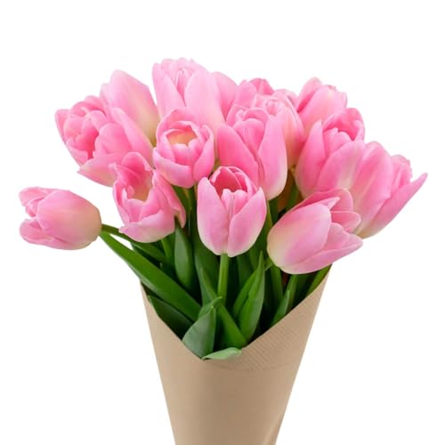 Stargazer Barn 15 Stem Pink Tulips Bouquet - Fresh Cut Flower Delivery, Hand-Tied in the USA, Gift for Birthday, Anniversary, Sympathy or Home Decor - Vase Not Included - color: Pink
