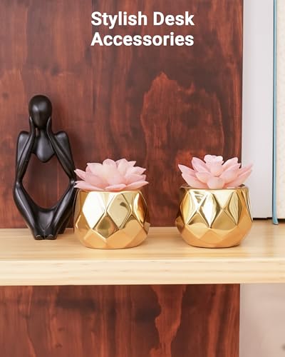 VIVERIE Mini Succulents Plants Artificial in Pots-Pink with Golden Ceramic, Christmas Small Fake Succulents Plants for Home Decor Indoor for Women, Set of 2, Gifts for Mom - color: Golden-2 Pack